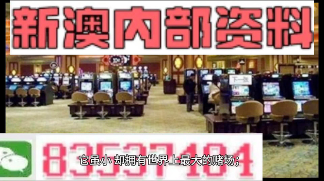 2024新澳门王中王正版,追寻内心的宁静与和谐——{关键词3}