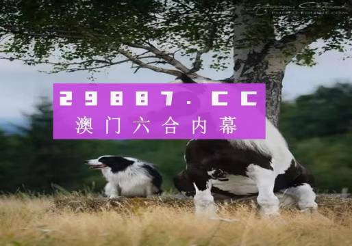 澳门精准正版四不像,胜利的关键——{关键词3}