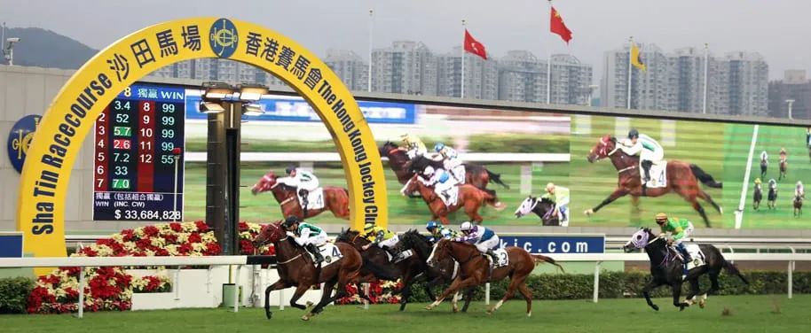 港澳研究院买马开奖,内部数据与市场趋势对比——{关键词3}