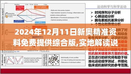 2024新奥资料免费精准洞察行业竞争格局,2024新奥资料免费精准_{关键词3}