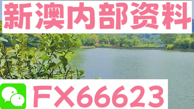 新澳精准资料免费提供网站有哪些揭示幸运数字的文化背景,新澳精准资料免费提供网站有哪些_纪念版33.408