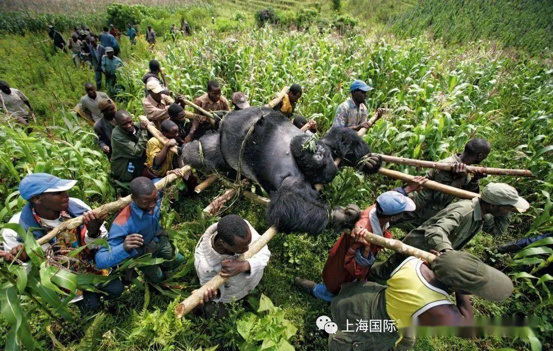 驴友打卡大圣之眼揭秘猴哥倒影，一次意外的自然探索之旅