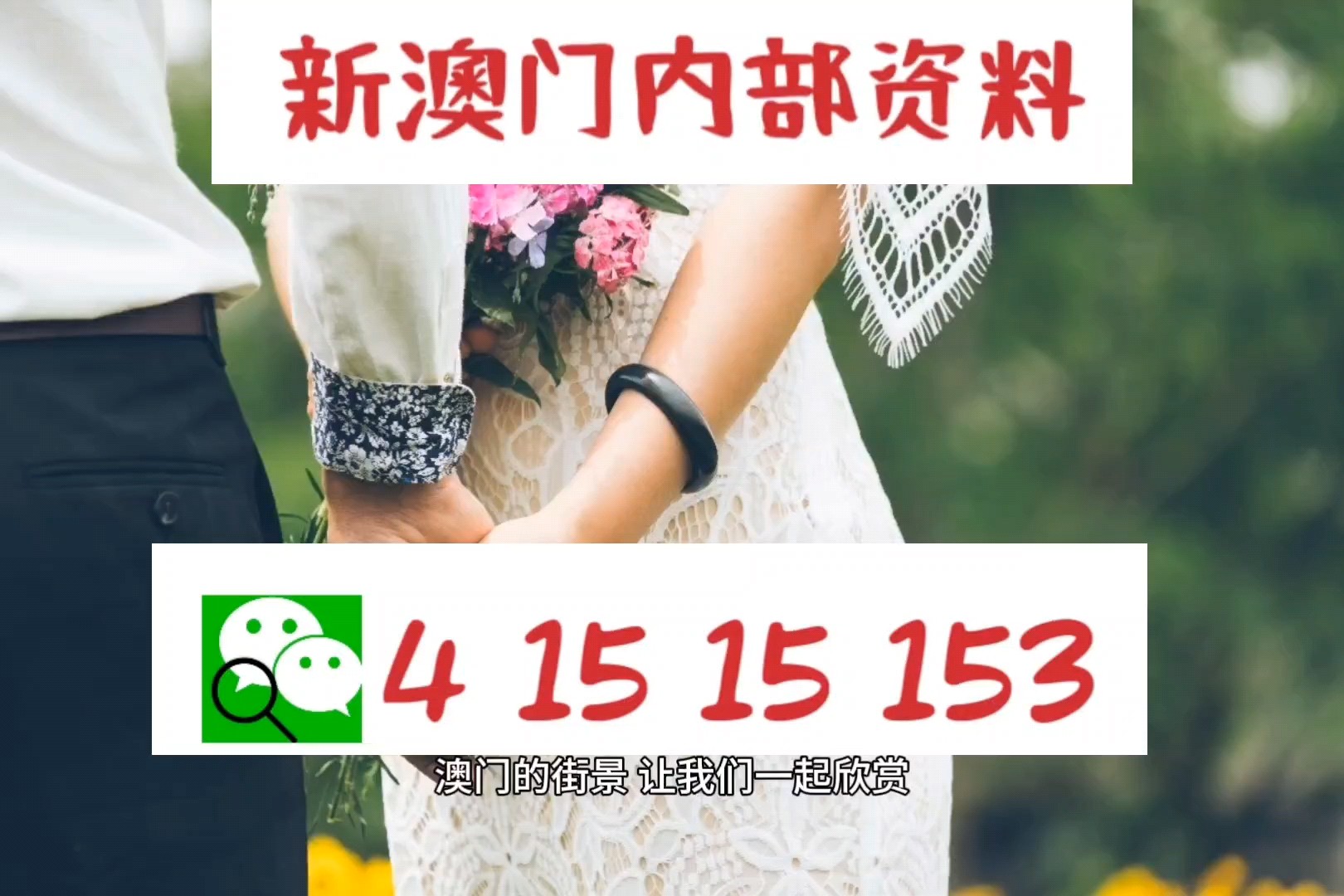 震撼揭秘！2025新澳门六开彩今晚资料与YE版42.390，在大自然中寻找灵感的终极游戏攻略