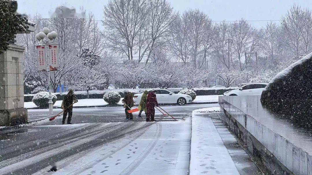 「惊！尔滨网红大雪人一夜消失，背后真相令人心碎…」