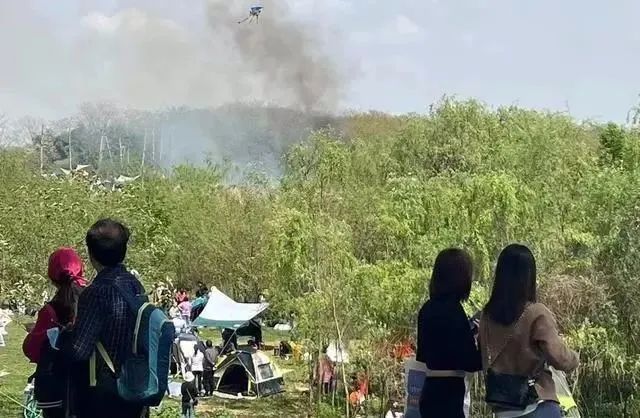 惊魂！女子露营烧烤竟遭牛群打劫，现场画面让人哭笑不得！