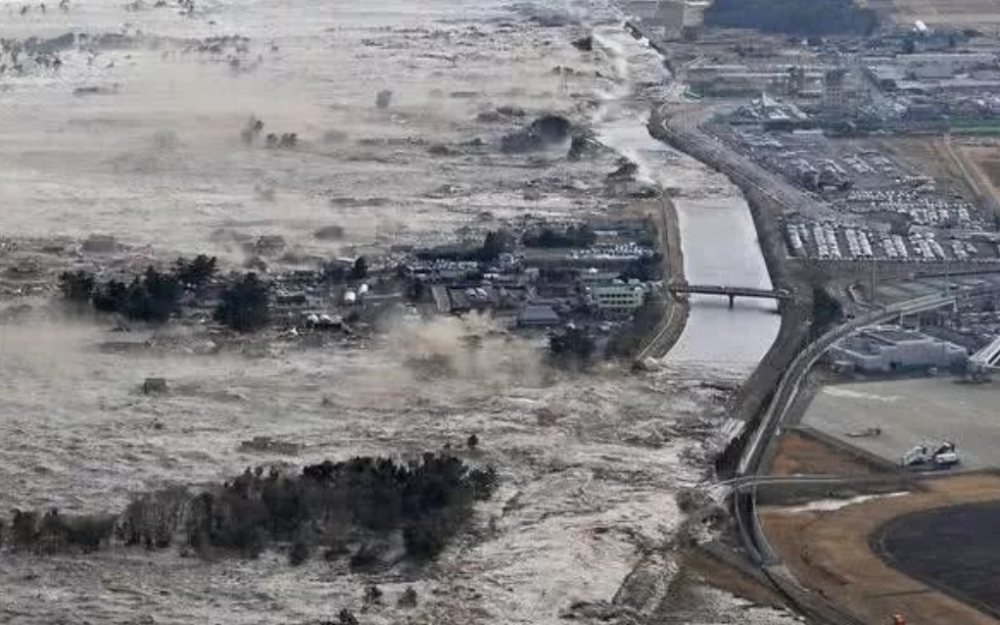 张本智和双手合十、感动全场！东日本大地震纪念日的背后故事